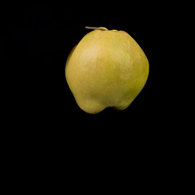 Ayva